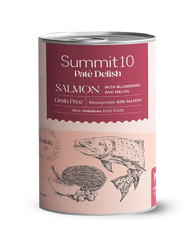 Pate Delish Summit10 Sabor Salmon 400 gr