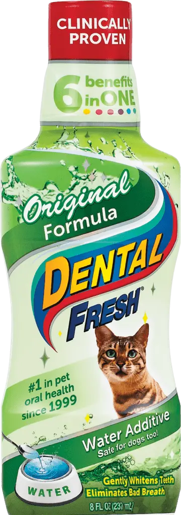 Dental Fresh Gato Original Formula 237 Ml copiar